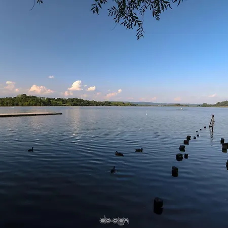 La - Sure Collection By Western