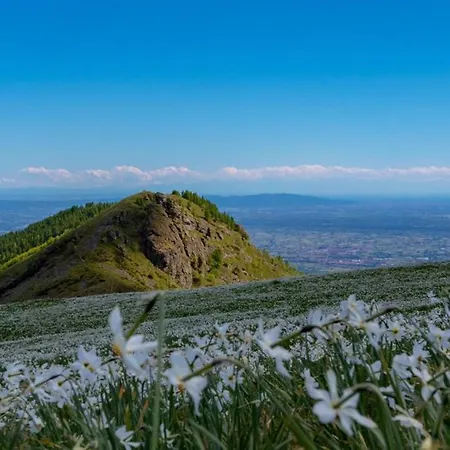 Отель La - Sure Collection By Western 3*