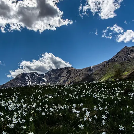 Отель La - Sure Collection By Western 3*